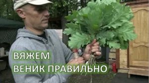 КАК вязать ДУБОВЫЙ веник для бани СВОИМИ РУКАМИ? Мастер-класс!