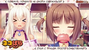 Проходим Некопару. Часть 4. Подготовка к экзамену