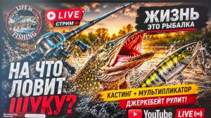 На что ловит щуку «Жизнь это Рыбалка» запись СТРИМа