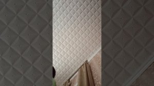 1000009045.mp4