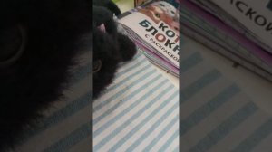 1000021303.mp4