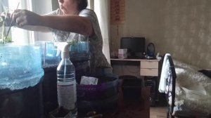Занимаюсь своим огородикам под чутким руководством бабы Вали, и поболтать не забываем.