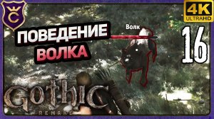 ИЗУЧЕНИЕ ПОВЕДЕНИЯ ВОЛКОВ! 16 Gothic 1 Remake