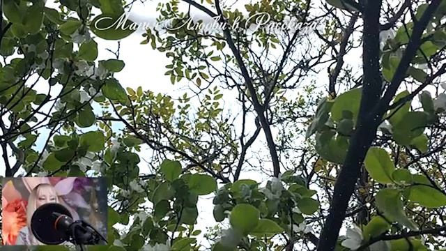 Не могло быть иначе. смотреть онлайн