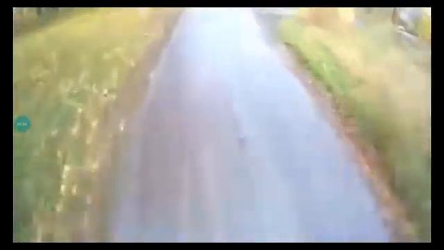 Sanekmix Бородач Слава Шулекин смотреть онлайн