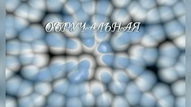 Караоке «Обручальная», Авраам Руссо, 2006г.