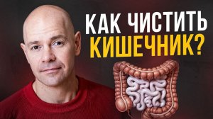 Как работа кишечника влияет на общий ресурс организма?