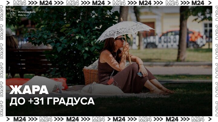 Температура воздуха в Москве поднимется до 31 градуса 8 июня - Москва 24 смотреть онлайн