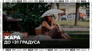 Температура воздуха в Москве поднимется до 31 градуса 8 июня - Москва 24