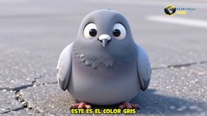 COLORES
