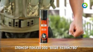 Анонсы, рекламные блоки, «Новость часа» и часы (Мир, 08.06.2026)