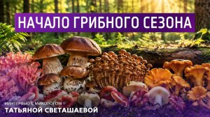 Начало грибного сезона. Интервью с микологом Татьяной Светашевой