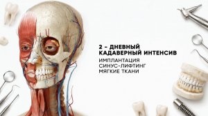 КАДАВЕРНЫЙ КУРС DENTIS