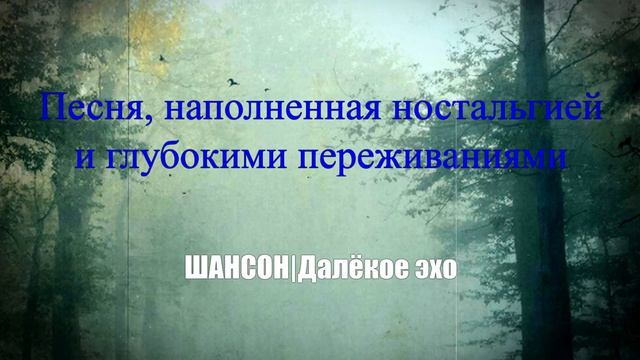 ШАНСОН|Далёкое эхо|ПЕСНИ ДЛЯ ДУШИ