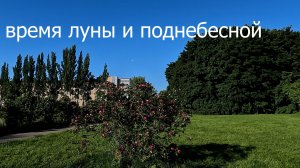 Время Луны и Поднебесной