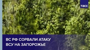 ВС РФ сорвали атаку ВСУ на Запорожье