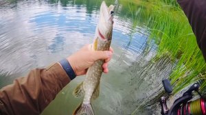 Рыболовные бродилки в ожидании водомоторного сезона
