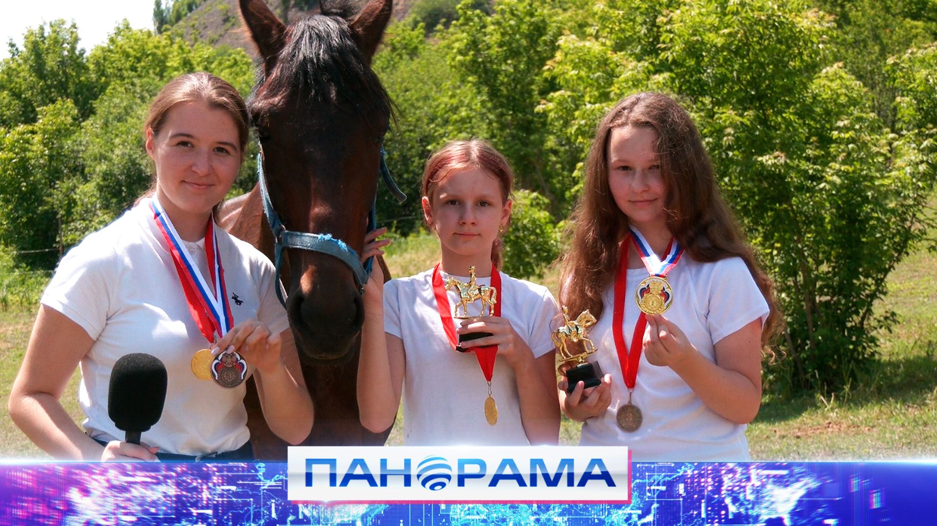 ⚡️ Рысь, галоп и золотые медали: соревнования по конному спорту в Донецке смотреть онлайн