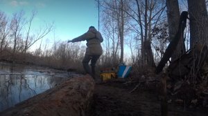 В деревьях мощная рыба и сходы!Закормила темной прикормкой и сразу клёв