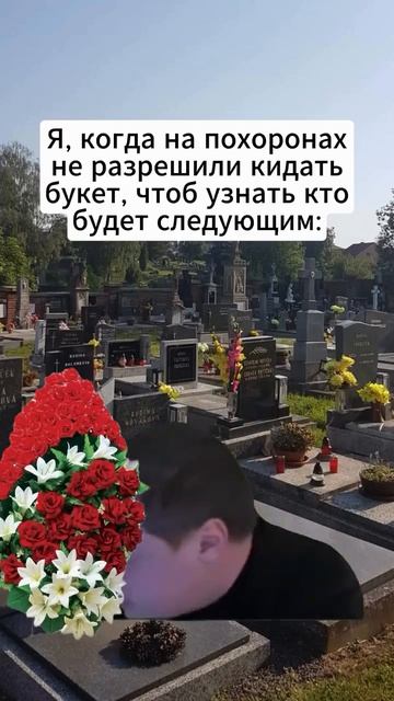 #меллстрой смотреть онлайн