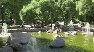 Тропическая жара пришла в центральные регионы России.