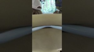 1000044035.mp4