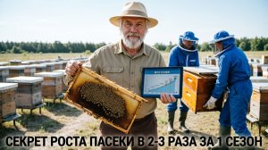 Как увеличить пасеку вдвое-втрое за сезон: реально или нет? Отвечает профессор Кашковский 📈🐝