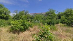 Волгоград. Красноармейский район. Прогулка по заброшенной парковой зоне от моста ВДСК к набережной