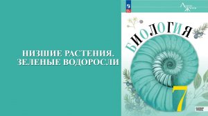 Урок 4. Низшие растения. Зеленые водоросли