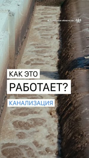 А вы знали, что канализационную воду очищают бактерии?