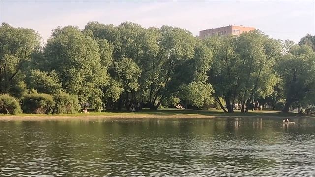 СЕМЕЙНЫЕ УТИНЫЕ СКРЕПЫ. Москва...