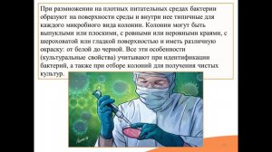 Видео-встреча по биологии 08.06.2026