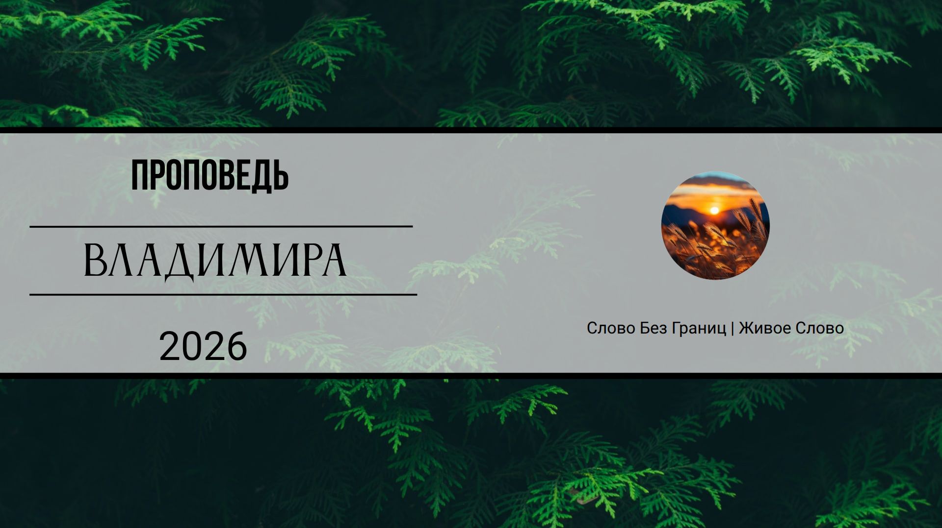 Проповедь | Владимир |  Слово Без Границ | Живое Слово