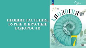 Урок 5. Низшие растения. Бурые и красные водоросли