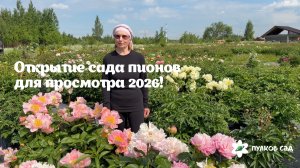 Открытие сада пионов 2026!