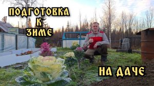 На даче. Готовлю дачу к зиме.
