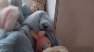 Видео о басиках.