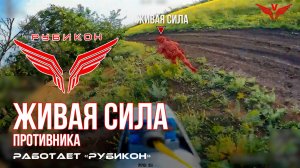 Живая сила противника. «Рубикон» продолжает раздавать порции пластида пехоте ВСУ в зоне СВО