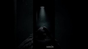 Любишь - отпусти