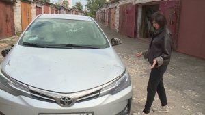 Упало дерево на авто: как водителю возместить ущерб