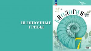 Урок 31. Шляпочные грибы