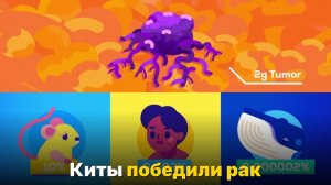 Почему киты не болеют раком, а люди — болеют-