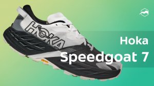 Hoka Speedgoat 7