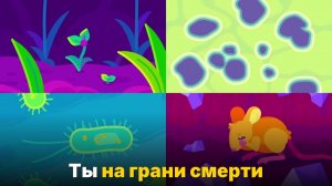 Как ваше тело каждую секунду борется со смертью