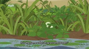 Animal Camouflage _ Science _ Animals