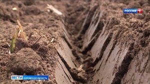 В Кировской области завершается посадка картофеля