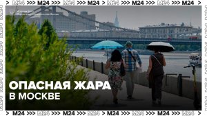 Москвичам порекомендовали сократить пребывание на улице из‑за жары