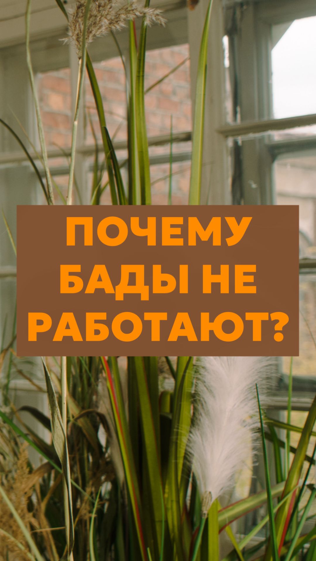 Почему БАДы не работают?