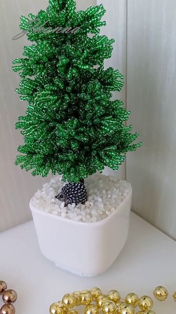 Настольные деревья, ловцы солнца (комнатные, садовые). Https://vk.com/id751273821    (в альбомах)