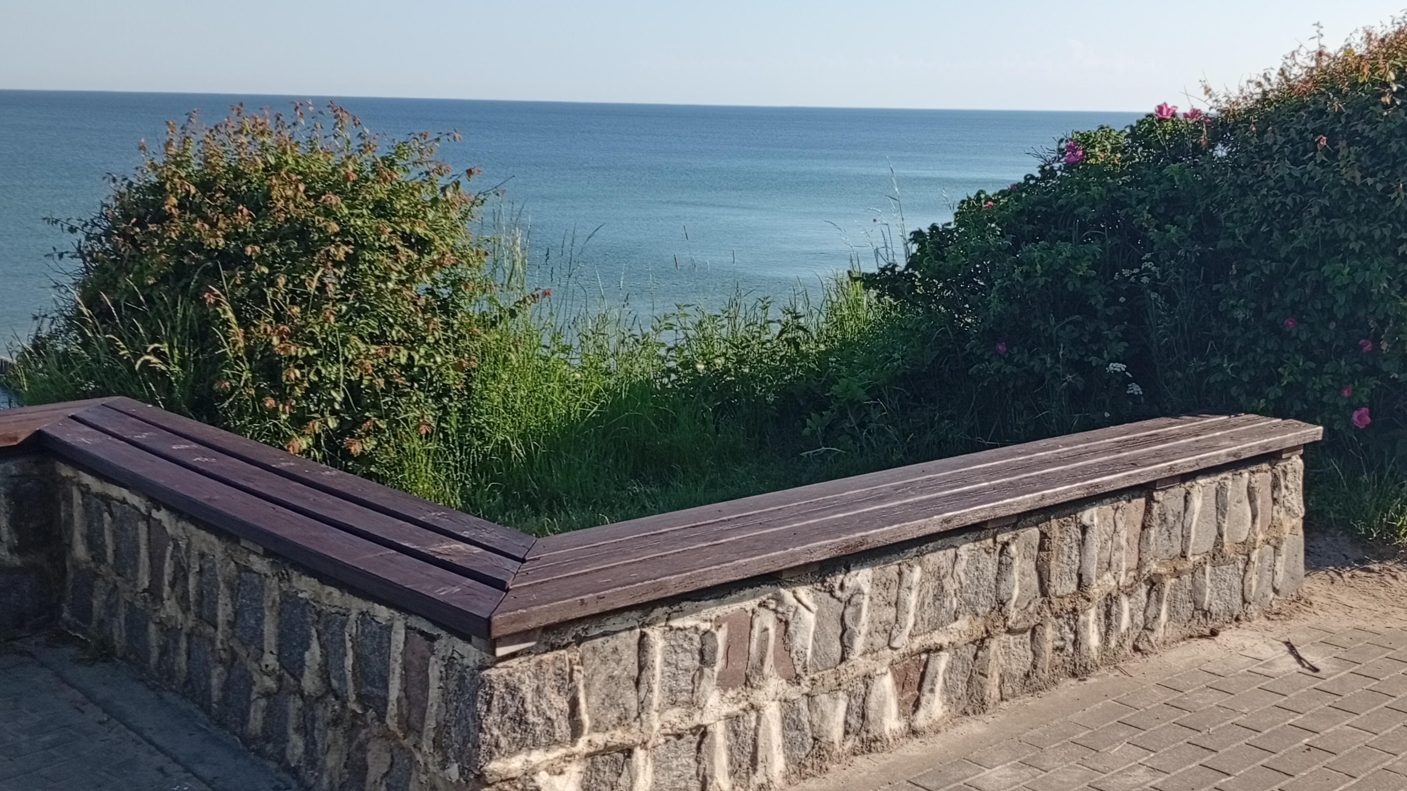 08-06-2026 Полезная прогулка около Балтийского моря, в городе Зеленоградске Калининградской области